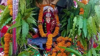 शोभायात्रा में गूंजे मातारानी के जयकारे