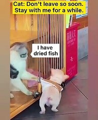 let me go-its-already-too-late-for-me-to-leave..