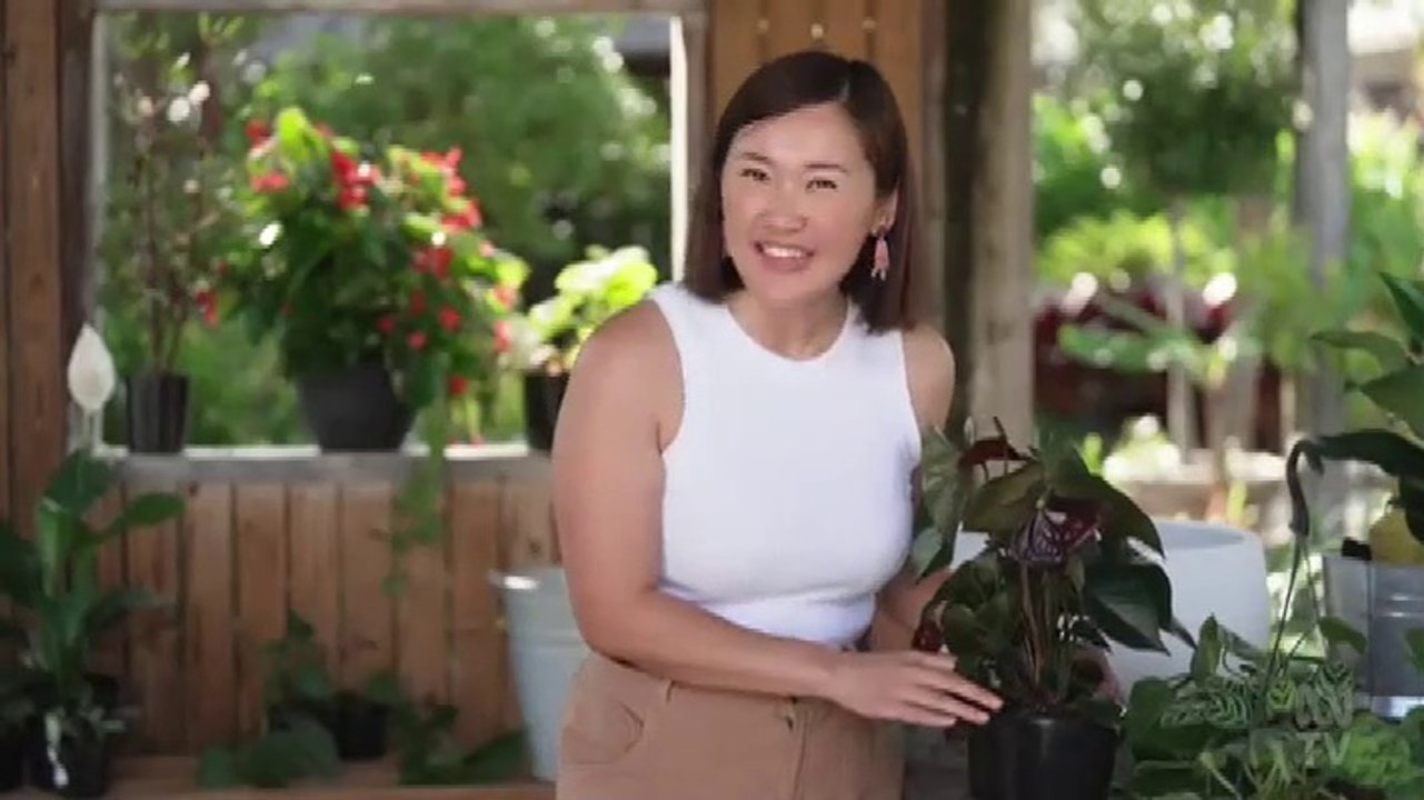 gardening australia s34e07