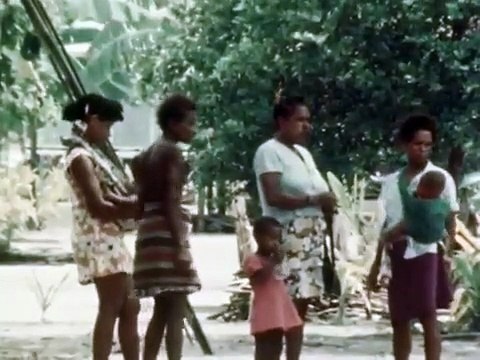 Keadaan perbatasan Irian Jaya ( RI) dengan Papua Nugini menjelang Pemilu 1977 - Copy