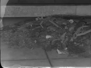 Keadaan Kedubes Amerika Serikat di Jakarta setelah demonstrasi anti AS awal thn  - Copy