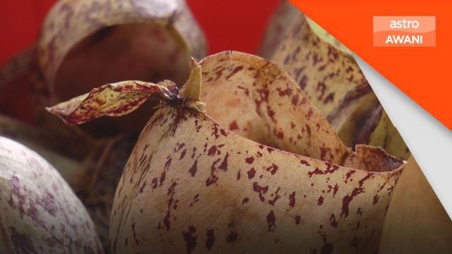 Aidilfitri: Lemang periuk kera kembali menjadi hidangan tarikan