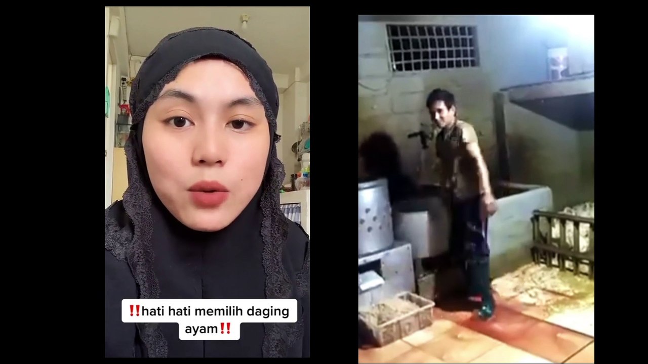 TIPS membeli ayam di pasaran