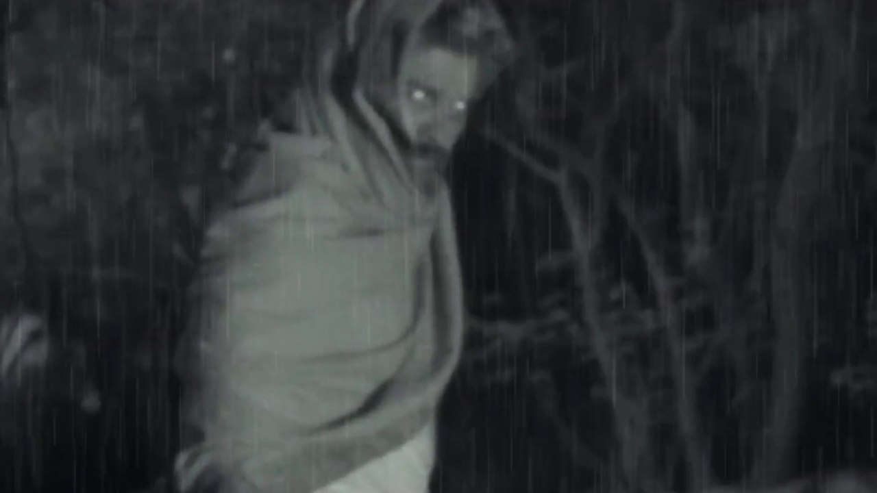 Where is Pushpa | Pushpa 2 The Rule Hindi | Allu Arjun | Sukumar | Rashmika | Fahadh Faasil