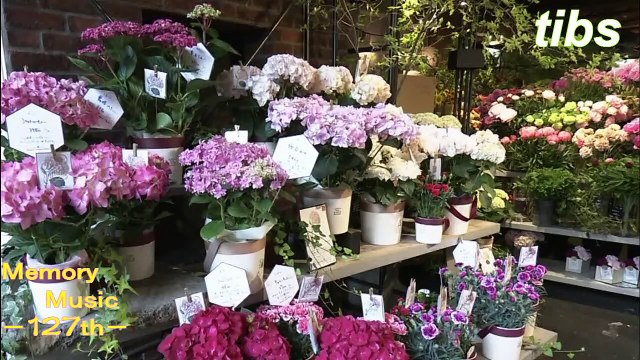 （たおやかインターネット放送)メモリーミュージック第１２７回母の日音楽特集Mother's Day Music Feature