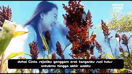 VIDEO LIRIK ||CINTA SEJATI||OSWALD PIGA ft ANDY LADJA