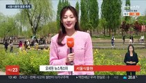 서울식물원으로 봄꽃 여행…튤립·수선화 가득