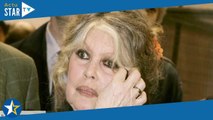 Brigitte Bardot : “Dès qu’elle approche, il hurle…”, sa relation compliquée avec son fils unique Nic