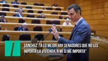 Sánchez es interrumpido mientras hablaba del derecho a la vivienda: 