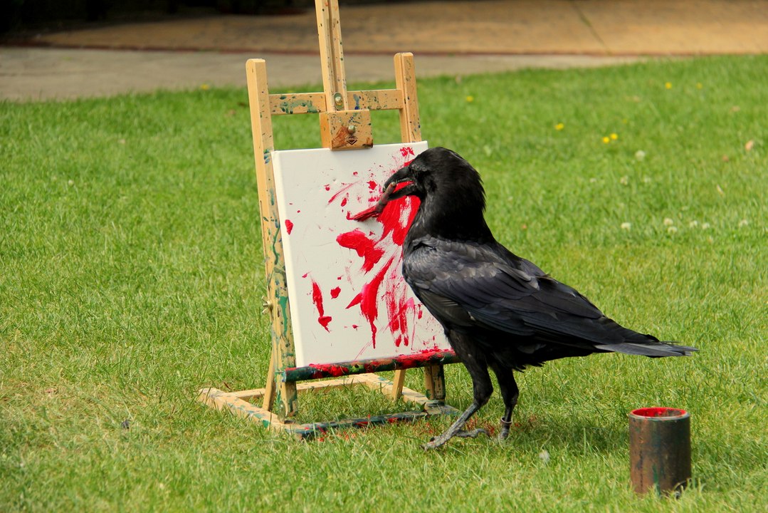 Odín the artistic raven
