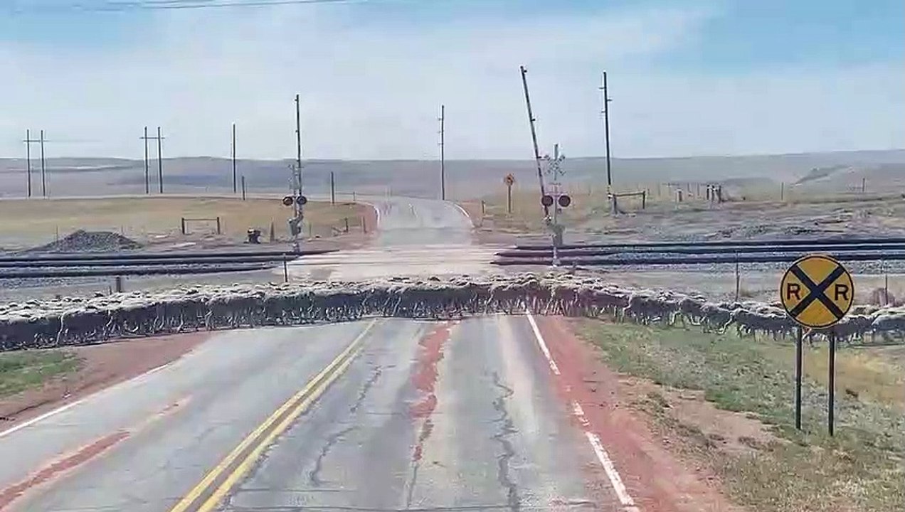 Wyoming Road Block