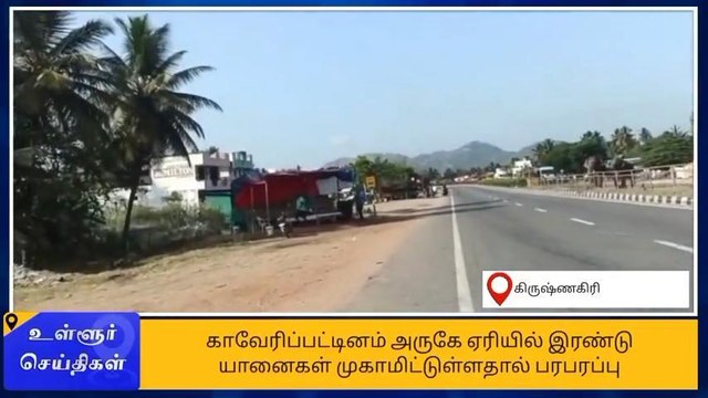 கிருஷ்ணகிரி: 2 காட்டு யானைகள் முகாம்-பொதுமக்கள் பெரும் அச்சம்