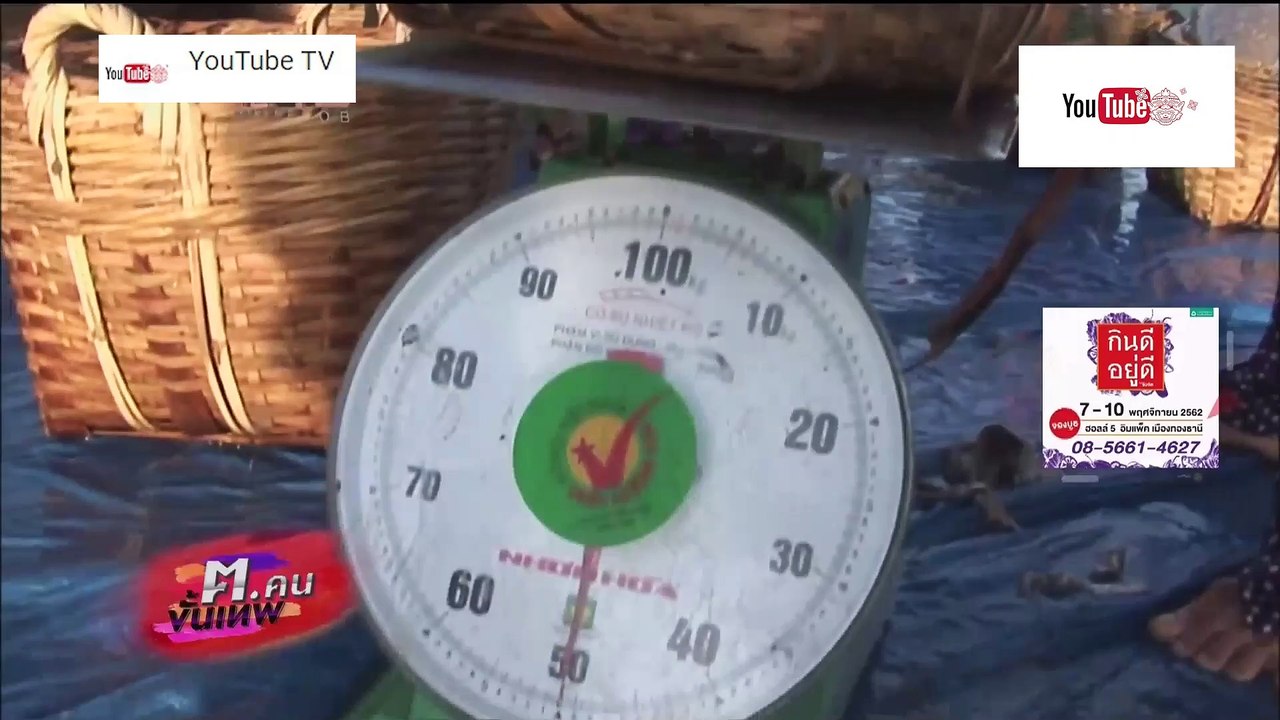 ฅ.คนขั้นเทพ ตอน การจับปลาแอนโชวี่ของเวียดนาม