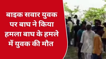 लखीमपुर खीरी: बाइक सवार युवक पर बाघ ने किया हमला,मौके पर मौत