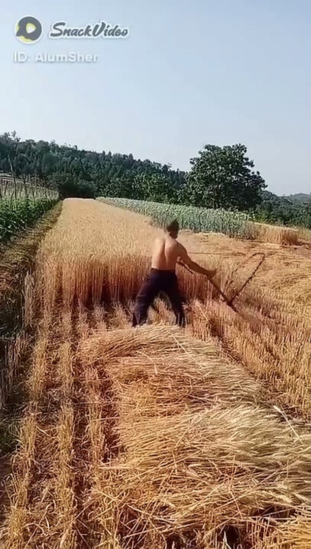 ⁣Katana ka new idea