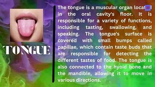 Anatomy of oral cavity