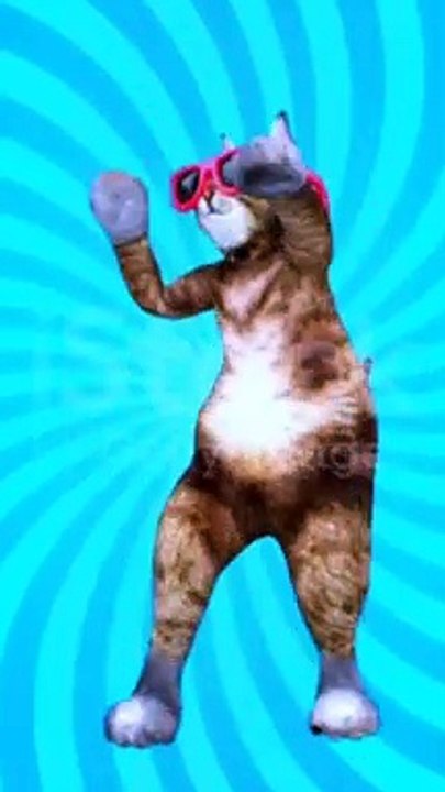 Dancing Cat