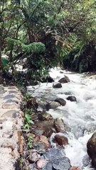 Luwihaja Hill - Cafe Air #bogor #bogorhits #shorts #short #megamendung #campinggroundbogor #puncak