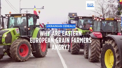 Frustration and fury: Eastern European farmers outraged over Ukrainian grain imports