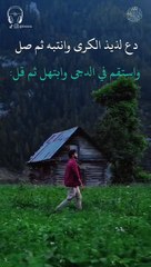 اناشيد اسلاميه