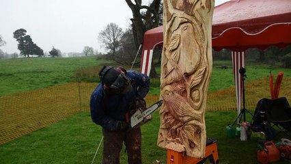 Celebrate Earth Day with Chainsaw Art by Shane Green at Kiplin Hall 🌍