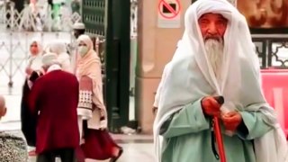Who are these elders present in the Prophet's Mosque in the viral video on social media? The truth came out Today news