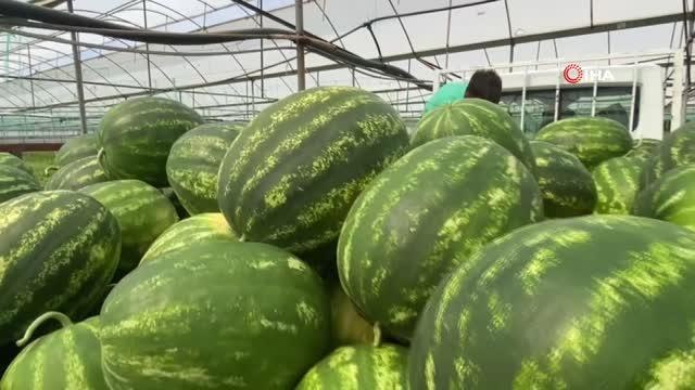 Yaşıtları bayram kutlarken, o serada aile bütçesine katkı sağlıyor