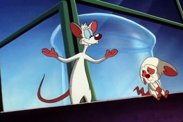 Pinky and the Brain S03 E48