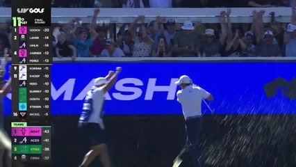 Download Video: Fans rasten wegen Hole-in-One aus