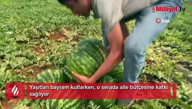 Yaşıtları bayram kutlarken, o serada aile bütçesine katkı sağlıyor