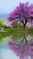 Beautiful lake | lake #dailymotion