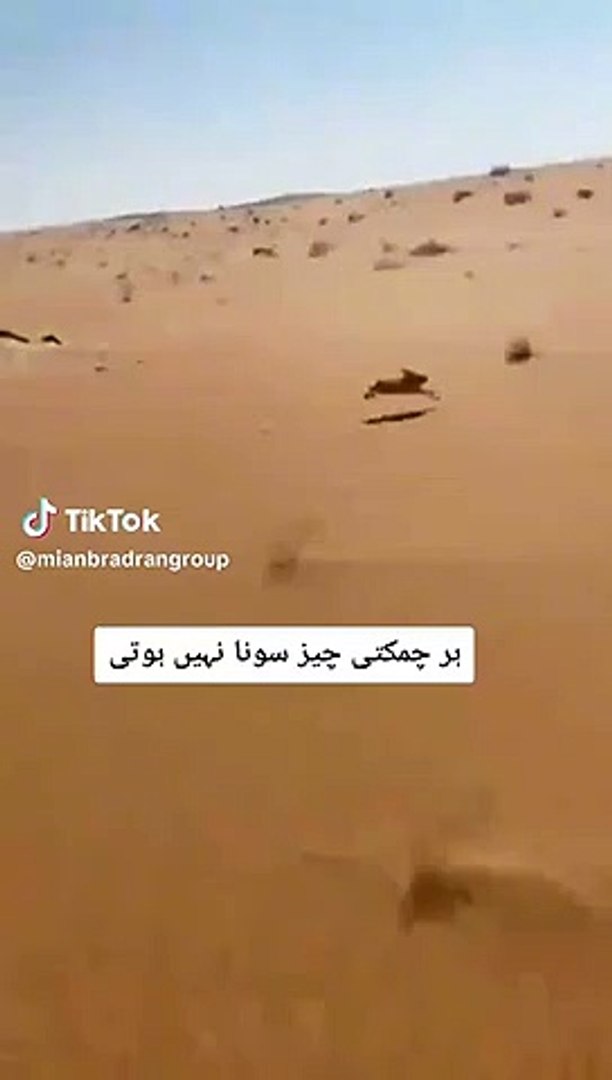 ⁣Speed | check the speed of this animal