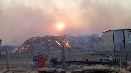 आग लगने का कारण शॉट सर्किट बताया जा रहा