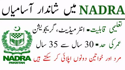 Nadra Jobs 2023 | Latest Government Jobs 2023