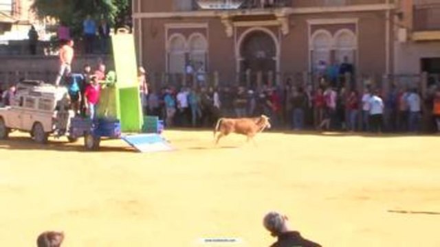 Beas de Segura revive la fiesta taurina de ‘San Marcos’ con récord de reses