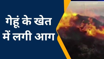 चितौड़गढ़: गेहूं के खेत में अज्ञात कारणों से लगी आग, तीन बीघा की फसल हुई राख