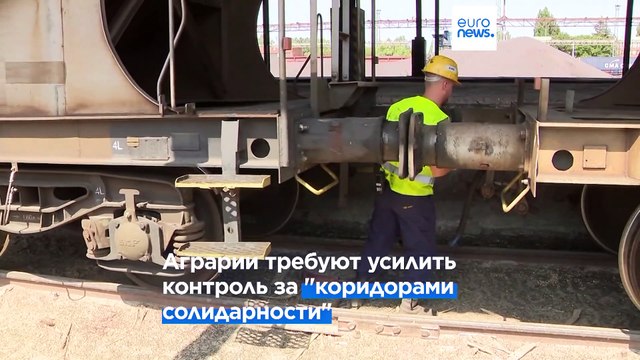 Фермеры Восточной Европы опасаются серого импорта украинского зерна