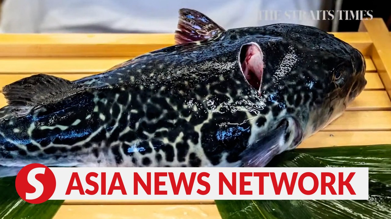 The Straits Times | Pufferfish, oysters, and other foods to be cautious of