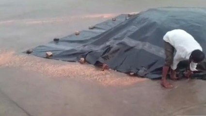 నర్సంపేట: భారీ వర్షం.. మార్కెట్లో కొట్టుకుపోయిన మొక్కజొన్న..!