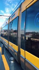 Habibi come to Portugal