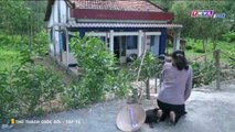 thử thách cuộc đời tập 15 - phim Việt Nam THVL1 - xem phim thu thach cuoc doi tap 16