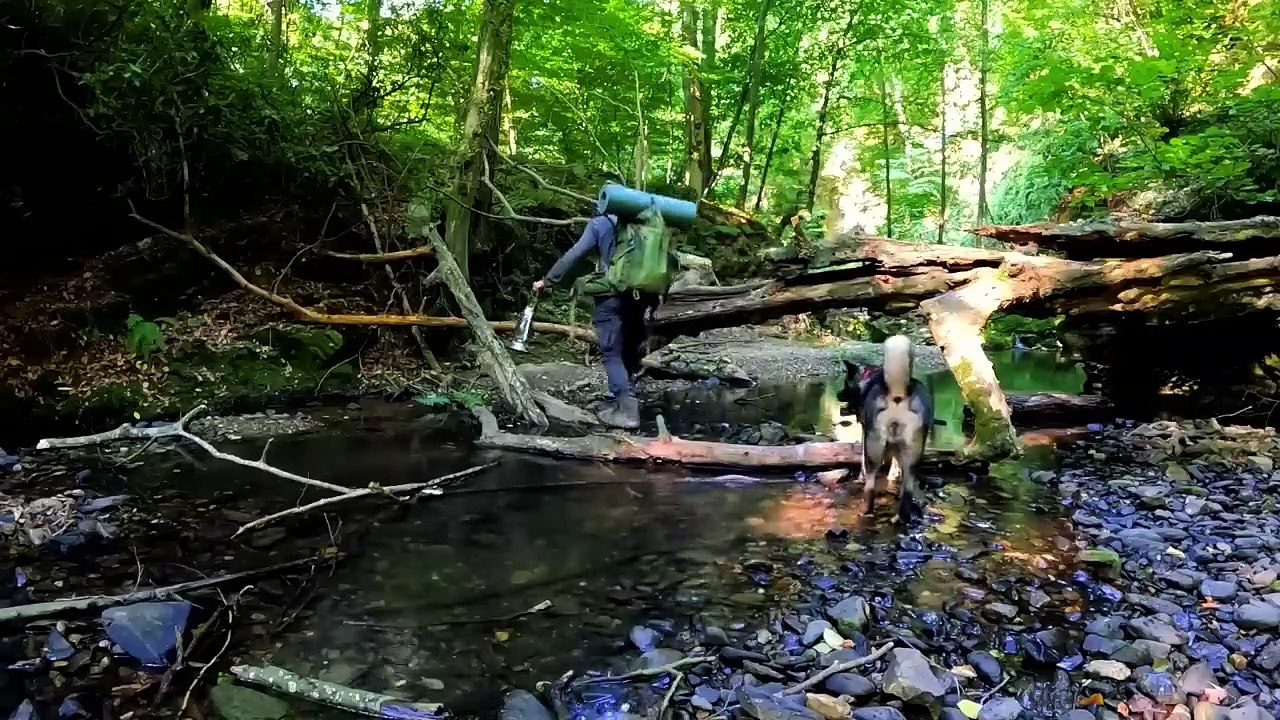 7 Days SURVIVAL Camping In RAIN Forest, THUNDER, Building Warm BUSHCRAFT SHELTER,
