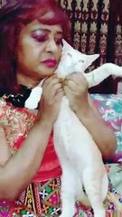 Cute Cat|#shorts  #viralshorts  #youtubeshorts