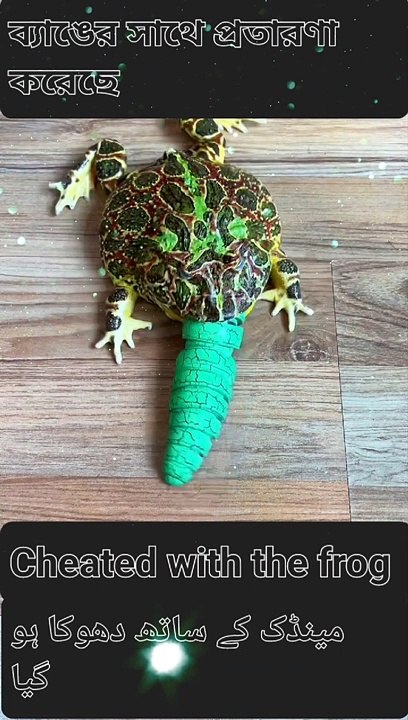 Cheated with the frog