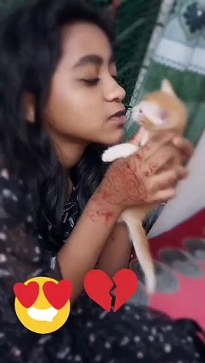 Funniest Cat Videos |#shorts #viralshorts #youtubeshorts