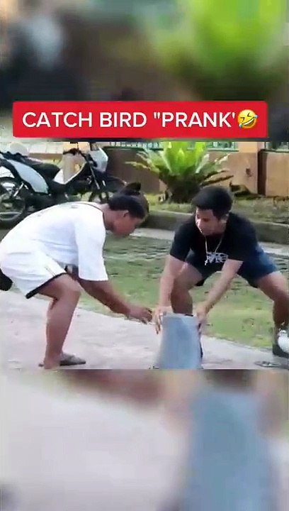 Comedy Video