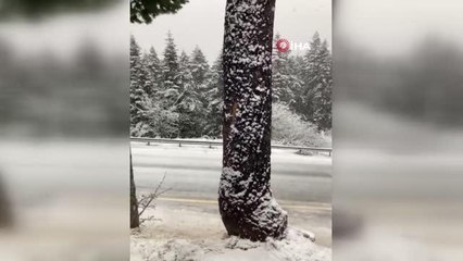 Ilgaz Dağı'nda nisan ayında kar sürprizi