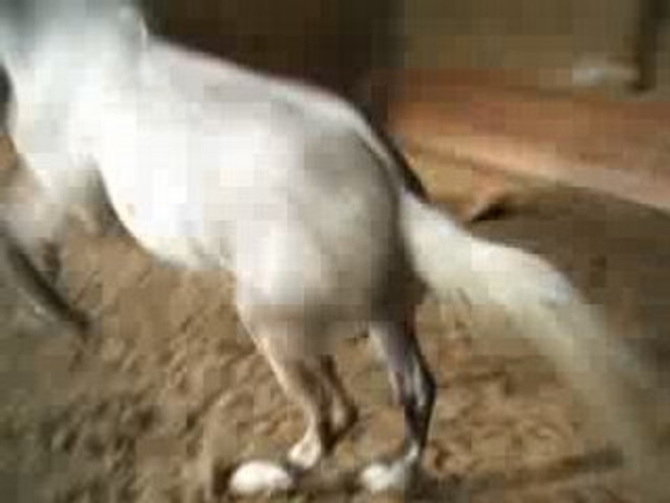 Oasis qui fait le gOgOle ^^