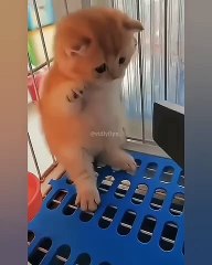 Don't move, put your hands up where i can see ...