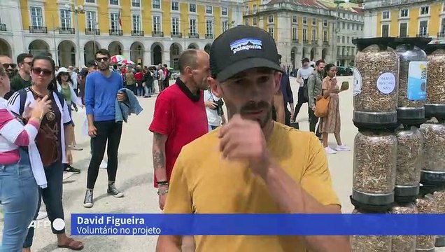 Ativistas ambientais formam enorme pilha de bitucas de cigarro em Lisboa